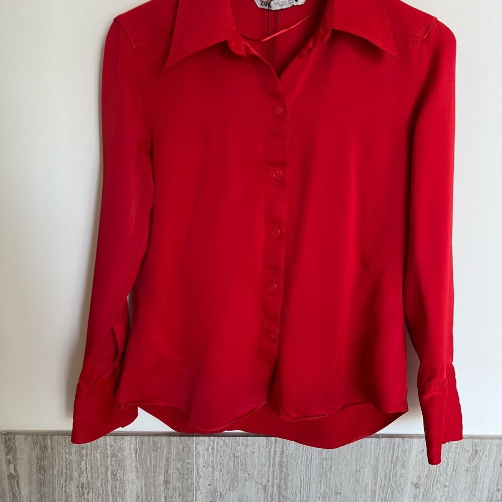 Zara L shirt.